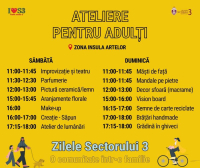 Ateliere_pentru_adulti
