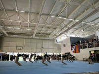 prima-ediie-a-cupei-de-gimnastic-marian-drgulescu_2_