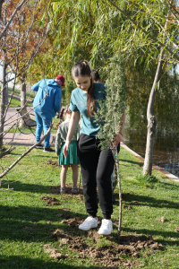 tinerii-din-sectorul-3-planteaza-pentru-viitorul-verde-al-comunitatii-plantare-octombrie-2025-1