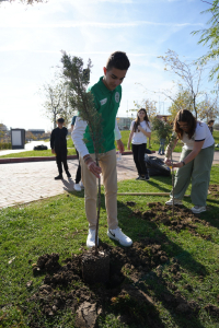 tinerii-din-sectorul-3-planteaza-pentru-viitorul-verde-al-comunitatii-plantare-octombrie-2025-2