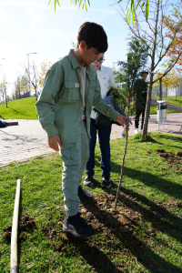 tinerii-din-sectorul-3-planteaza-pentru-viitorul-verde-al-comunitatii-plantare-octombrie-2025-8