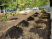 Împreună pentru un Sector 3 mai verde și mai curat! Compost, la dispoziția asociațiilor de proprietari
