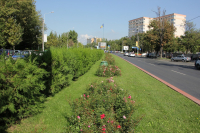Sectorul 3, cel mai verde din București