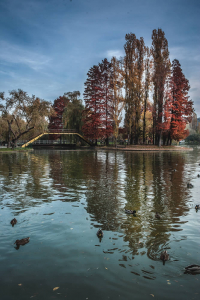 Parcul Alexandru Ioan Cuza