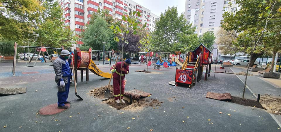 Plantări de toamnă în Sectorul 3