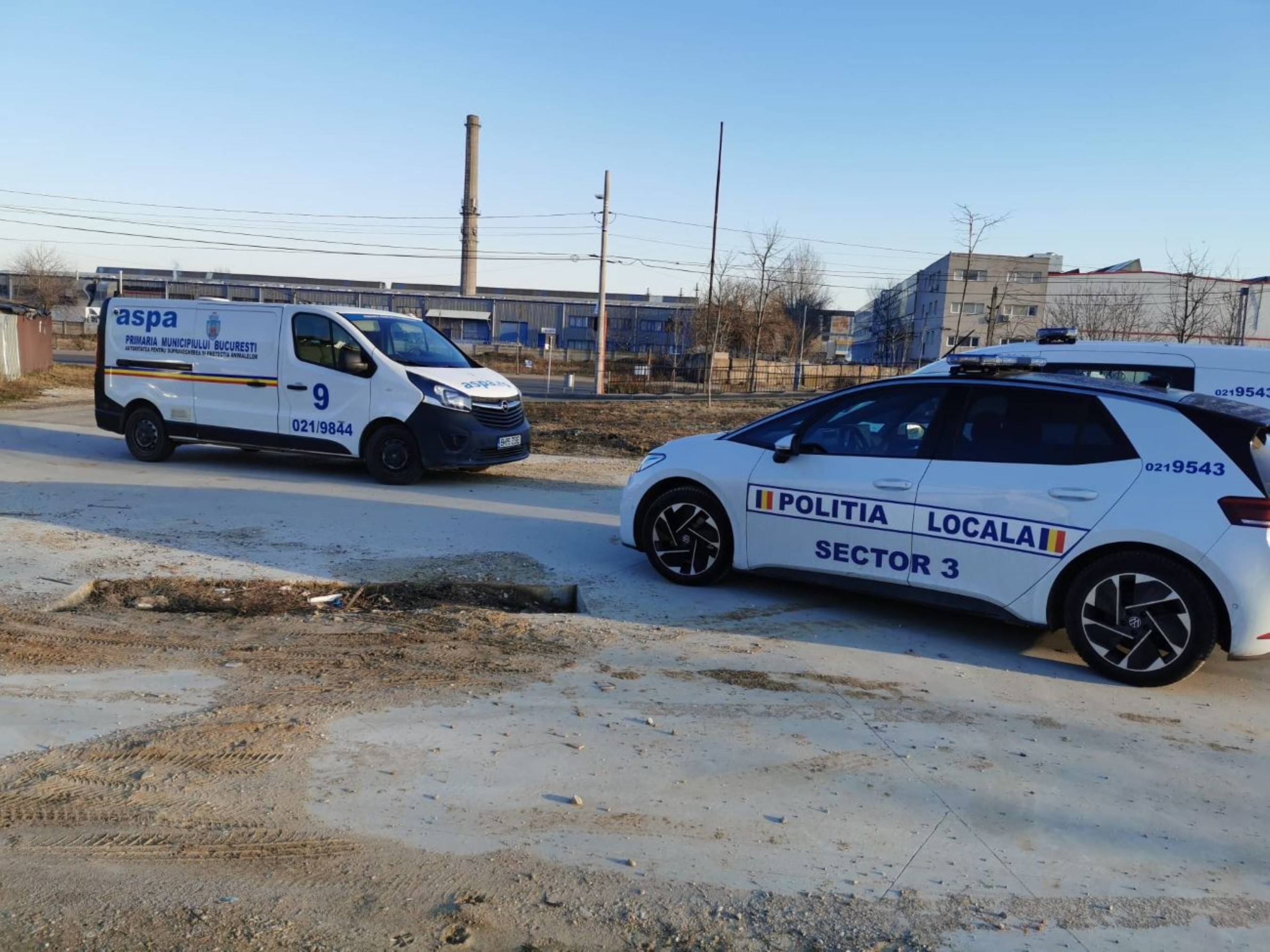 Poliția Locală Sector 3 intervine pentru protecția animalelor!