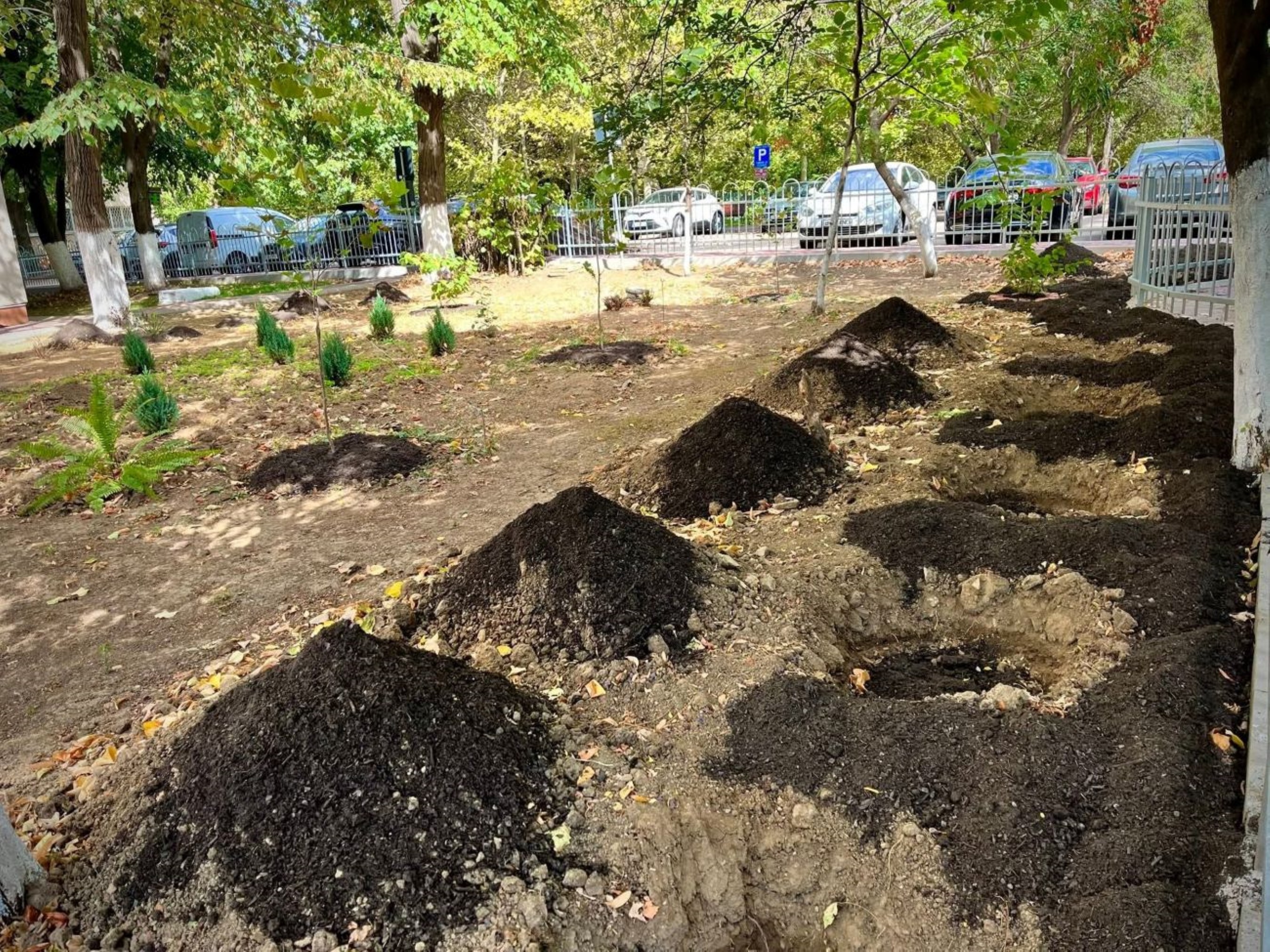 Împreună pentru un Sector 3 mai verde și mai curat! Compost, la dispoziția asociațiilor de proprietari