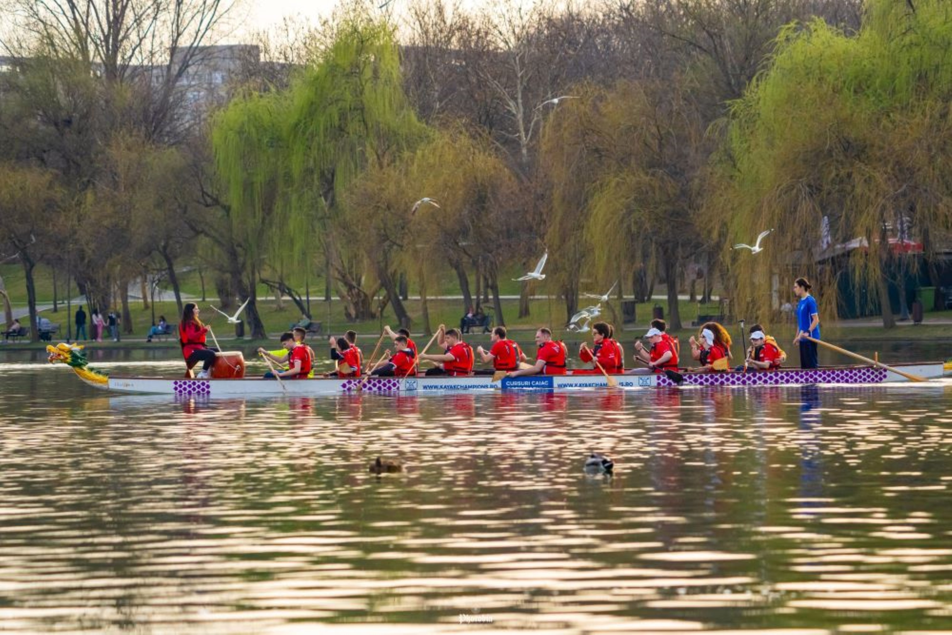 Cupa Campionilor Speciali, în parcul Alexandru Ioan Cuza