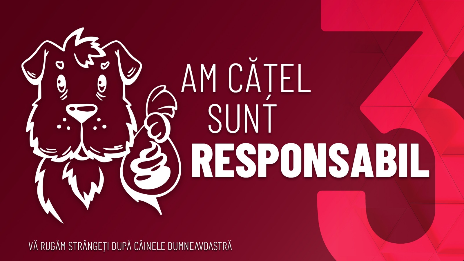 Peste 10.000 de lei, cunatumul amenzilor aplicate proprietarilor de câini care nu au păstrat curățenia