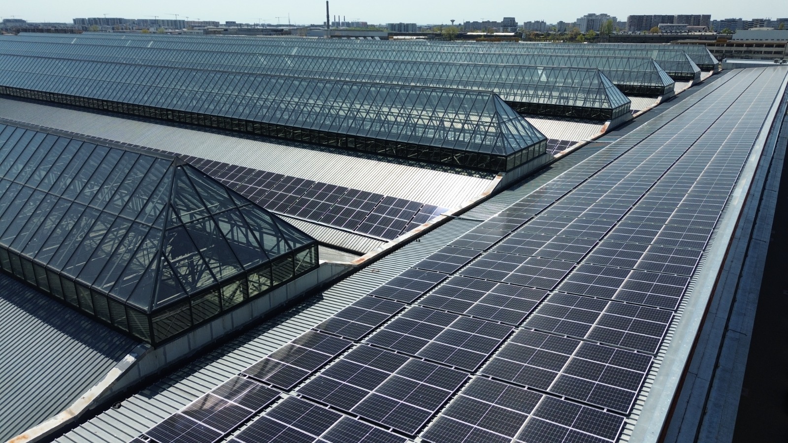 Energie verde în Sectorul 3: de la panourile fotovoltaice de pe școli și blocuri la parcul fotovoltaic de pe Hala Laminor