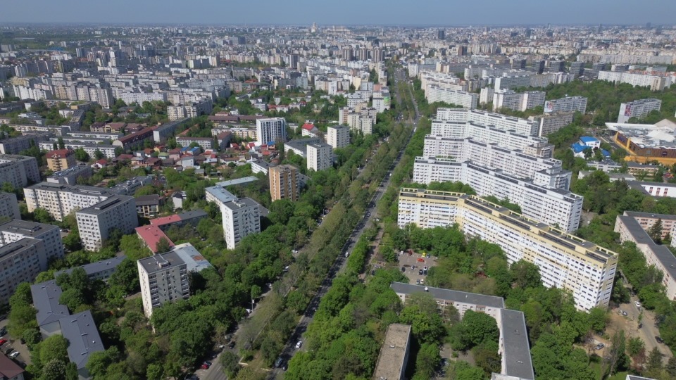 Din toamnă, copaci din pepiniera proprie, plantați în Sectorul 3