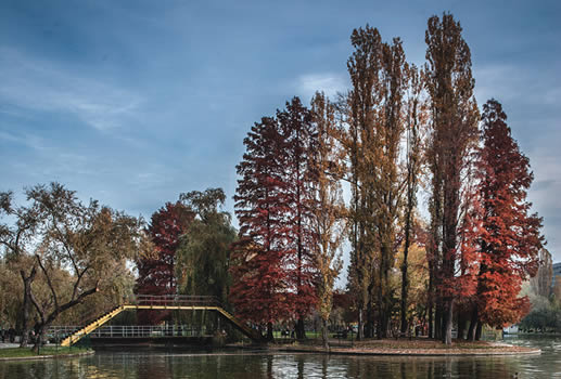 Parcul Alexandru Ioan Cuza 