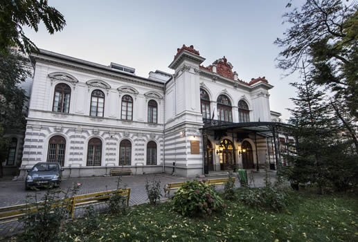 Palatul Suţu